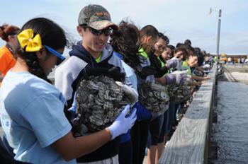 As Deepwater Horizon Restoration Moves Forward, Fate of Past Oyster Reef Projects Unknown